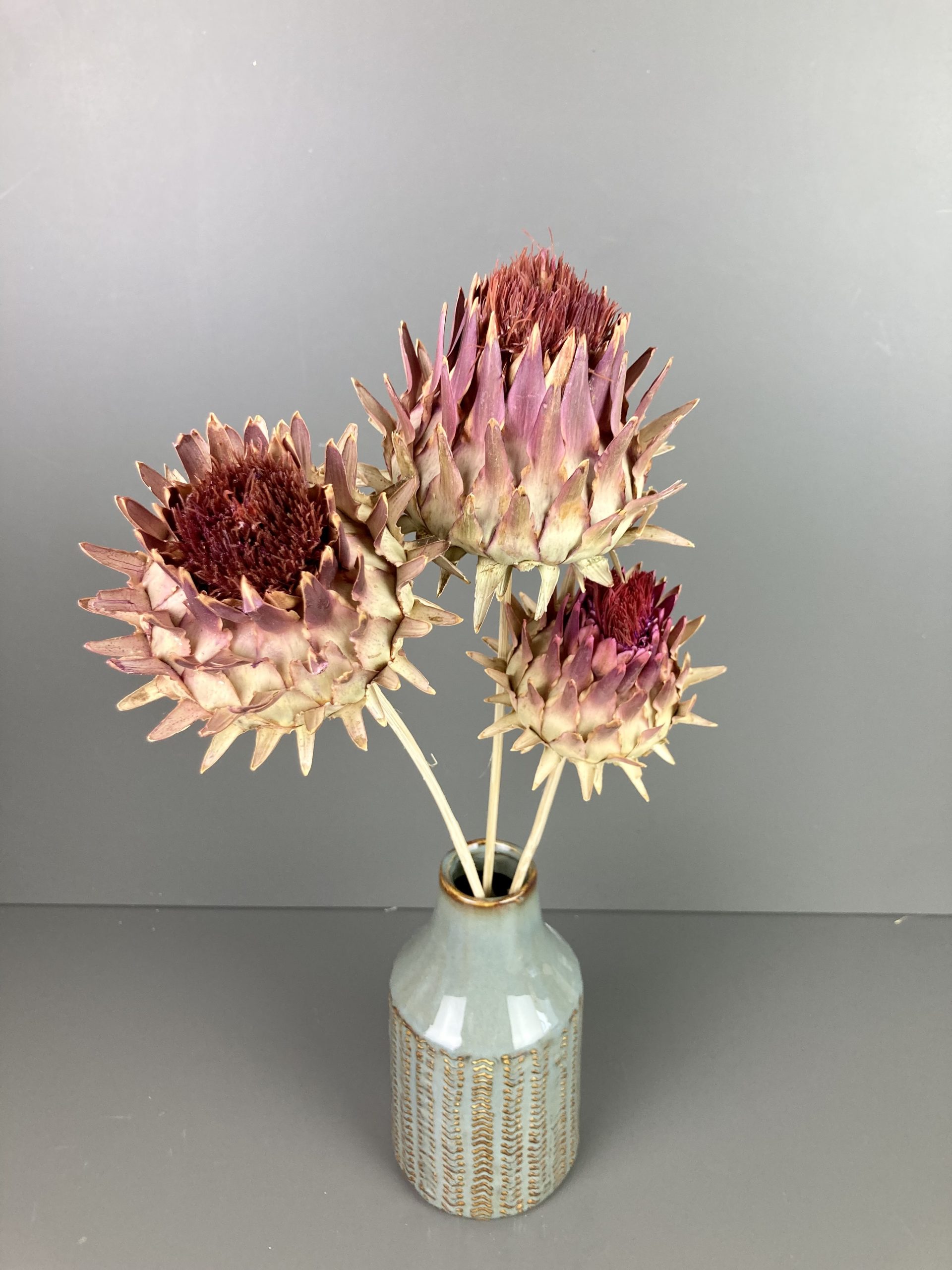 Getrocknete Artischocke, Cynara, Blüte auf Holzstab, 3 Stiele