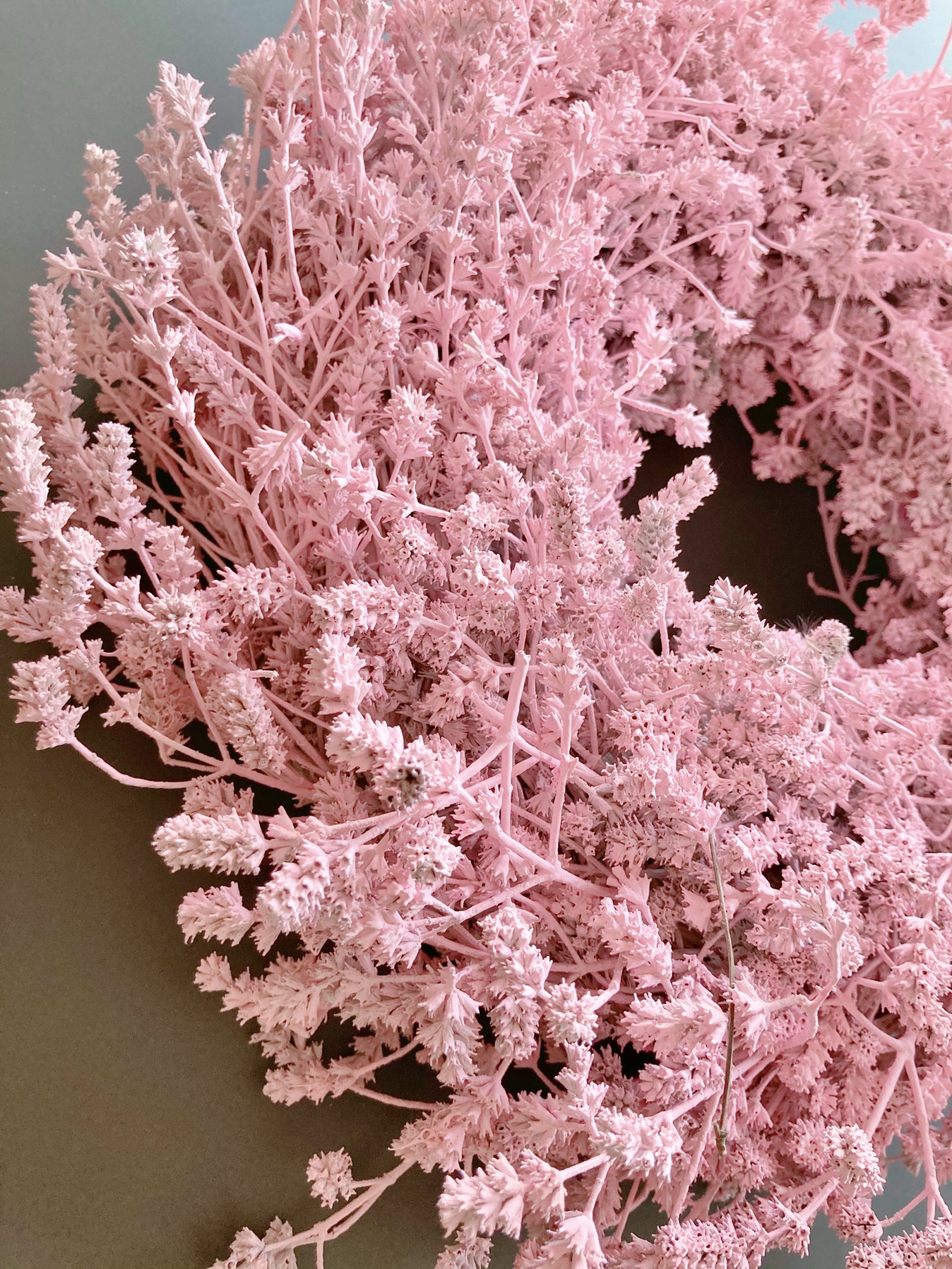 Leinenkraut Kranz, getrocknet -Trockenblumenkranz - 2 Farben zur Auswahl - Ø 25cm – Bild 6