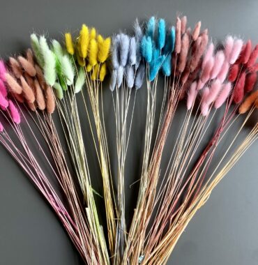 Lagurus getrocknet Regenbogen – Trockenblumen – Bunny Tails – Konservierte samtig weiche Gräser für natürliche Dekoration