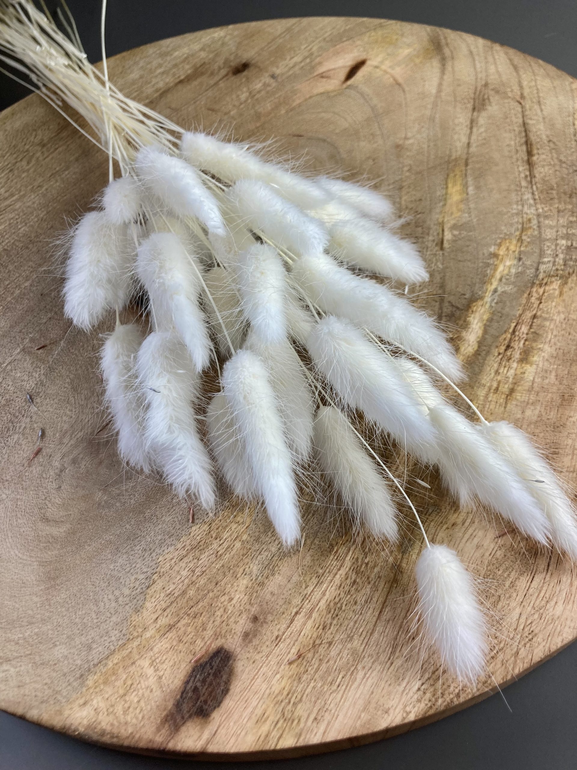 Lagurus getrocknet weiß – Trockenblumen – Bunny Tails – Konservierte samtig weiche Gräser für natürliche Dekoration