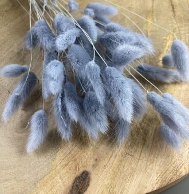 Lagurus getrocknet grau – Trockenblumen – Bunny Tails – Konservierte samtig weiche Gräser für natürliche Dekoration