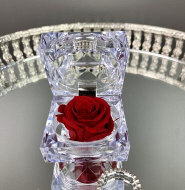 Eine ewige Rose in Acrylbox/konservierte Rosenbox, Wichtelgeschenk