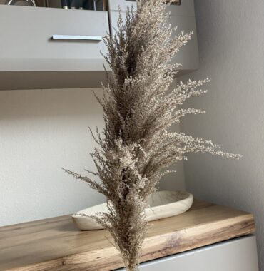 Getrocknetes Pampasgras Natural, hellbraun,  100cm