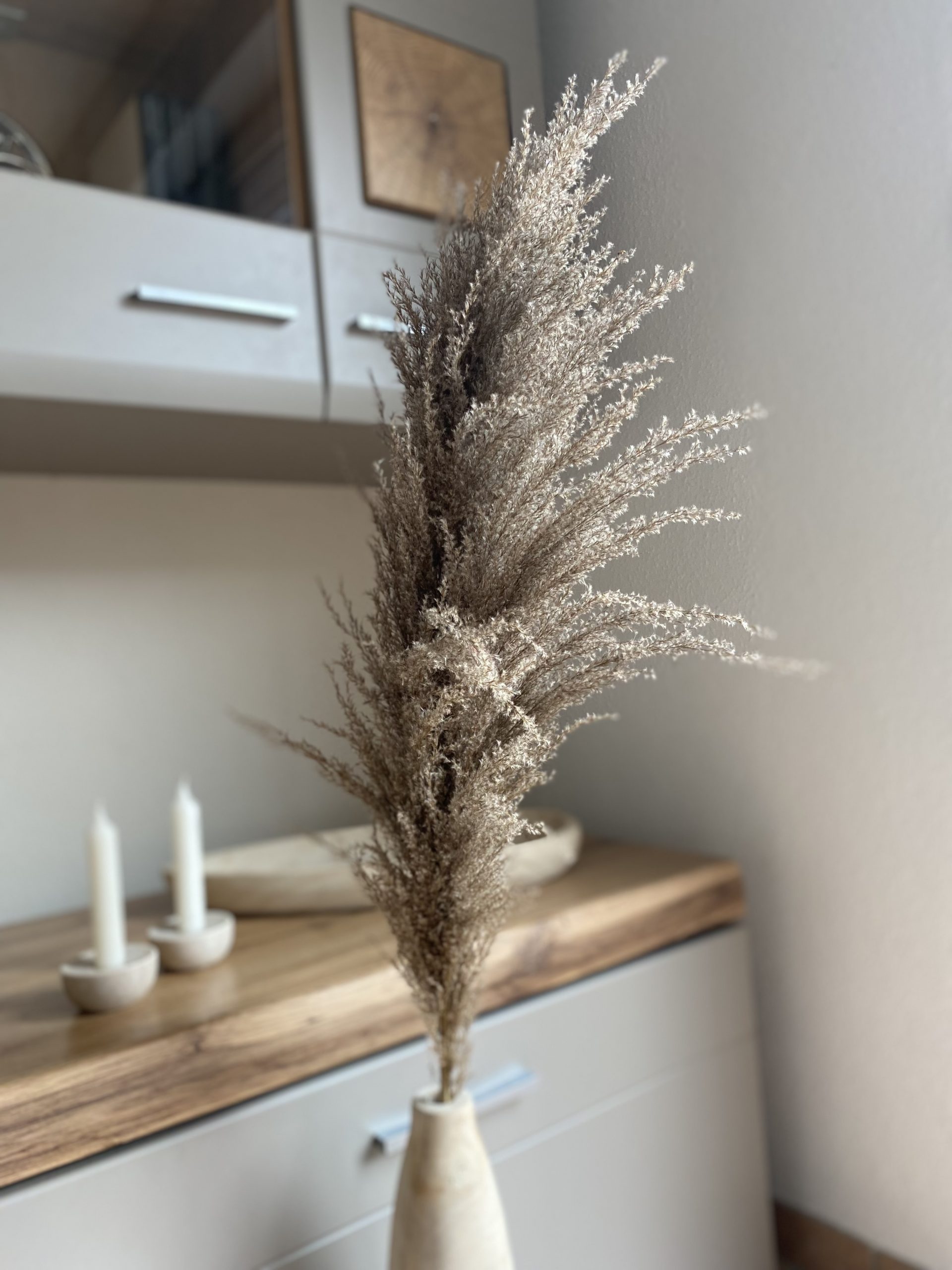 Getrocknetes Pampasgras Natural, hellbraun, 100cm – Bild 2