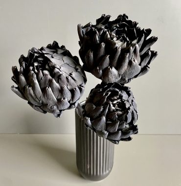 Artischocken getrocknet - Cynara, schwarz