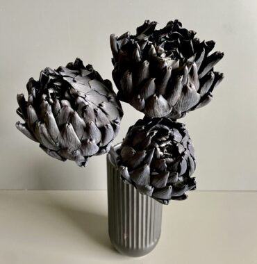 Artischocken getrocknet - Cynara, schwarz