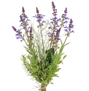 Lavendelzweig mit Laub