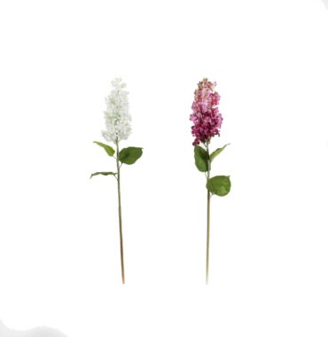 Flieder-Sommerflieder, Blütenzweige