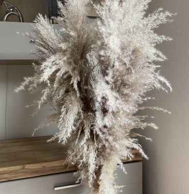 Pampasgras getrocknet Naturell, extra fluffig, Boho, lange Puschel