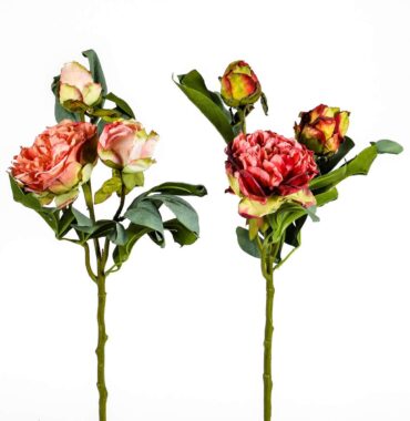 Pfingstrose, Kunstblume, drei Blüten