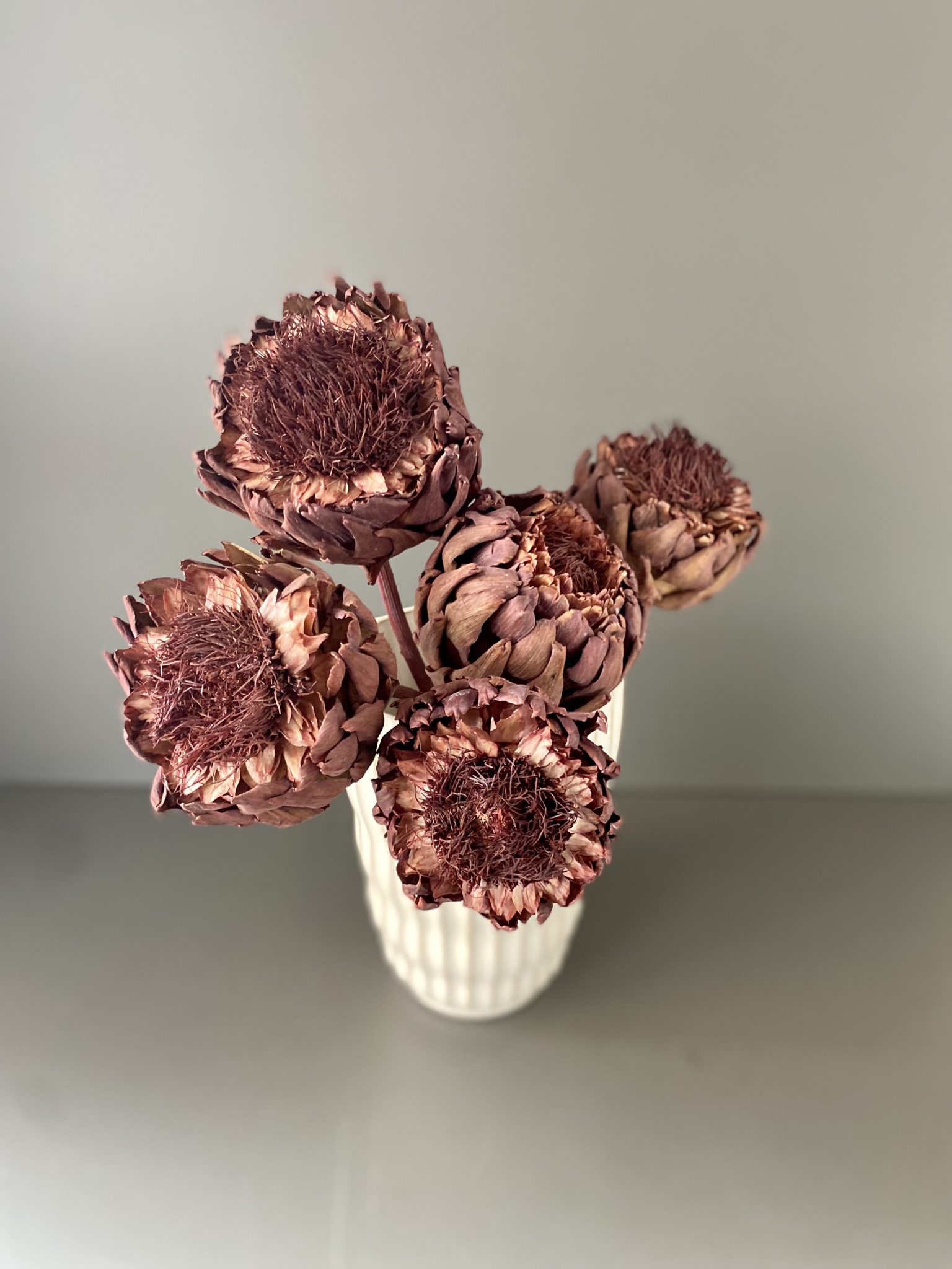 Artischocken getrocknet - Cynara, berry, Blüte – Bild 2