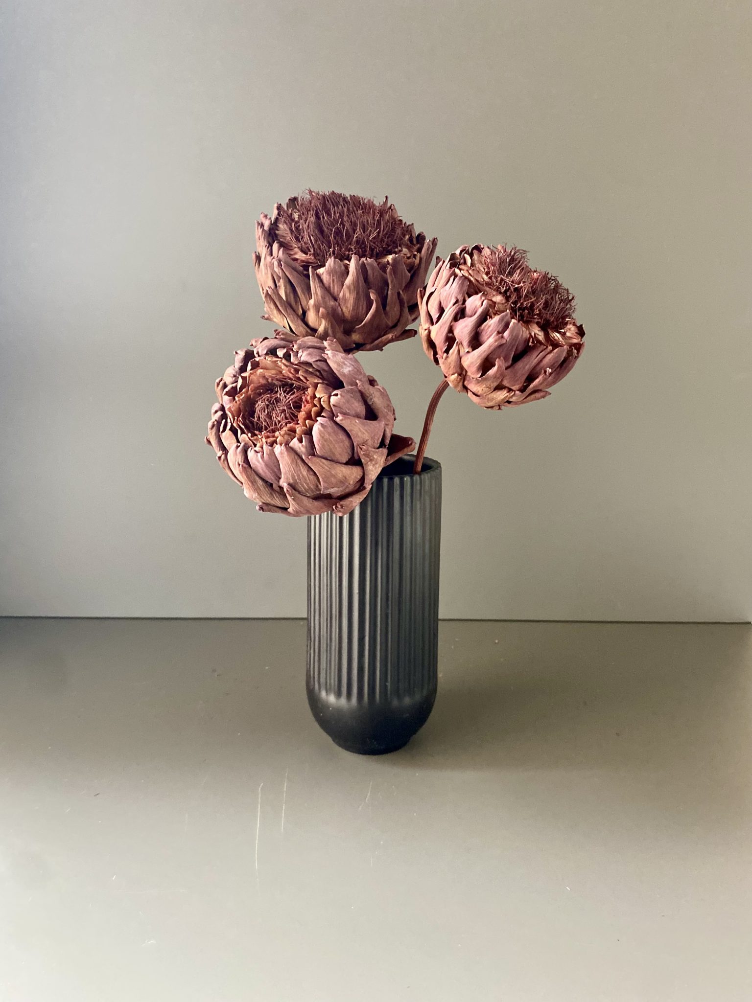 Artischocken getrocknet - Cynara, berry, Blüte – Bild 4