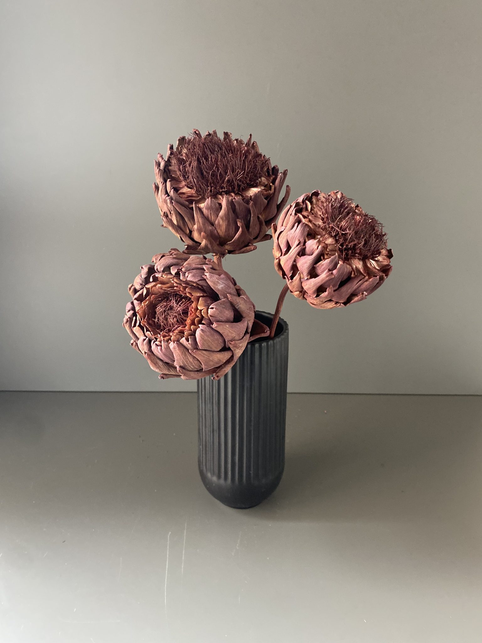 Artischocken getrocknet - Cynara, berry, Blüte – Bild 3