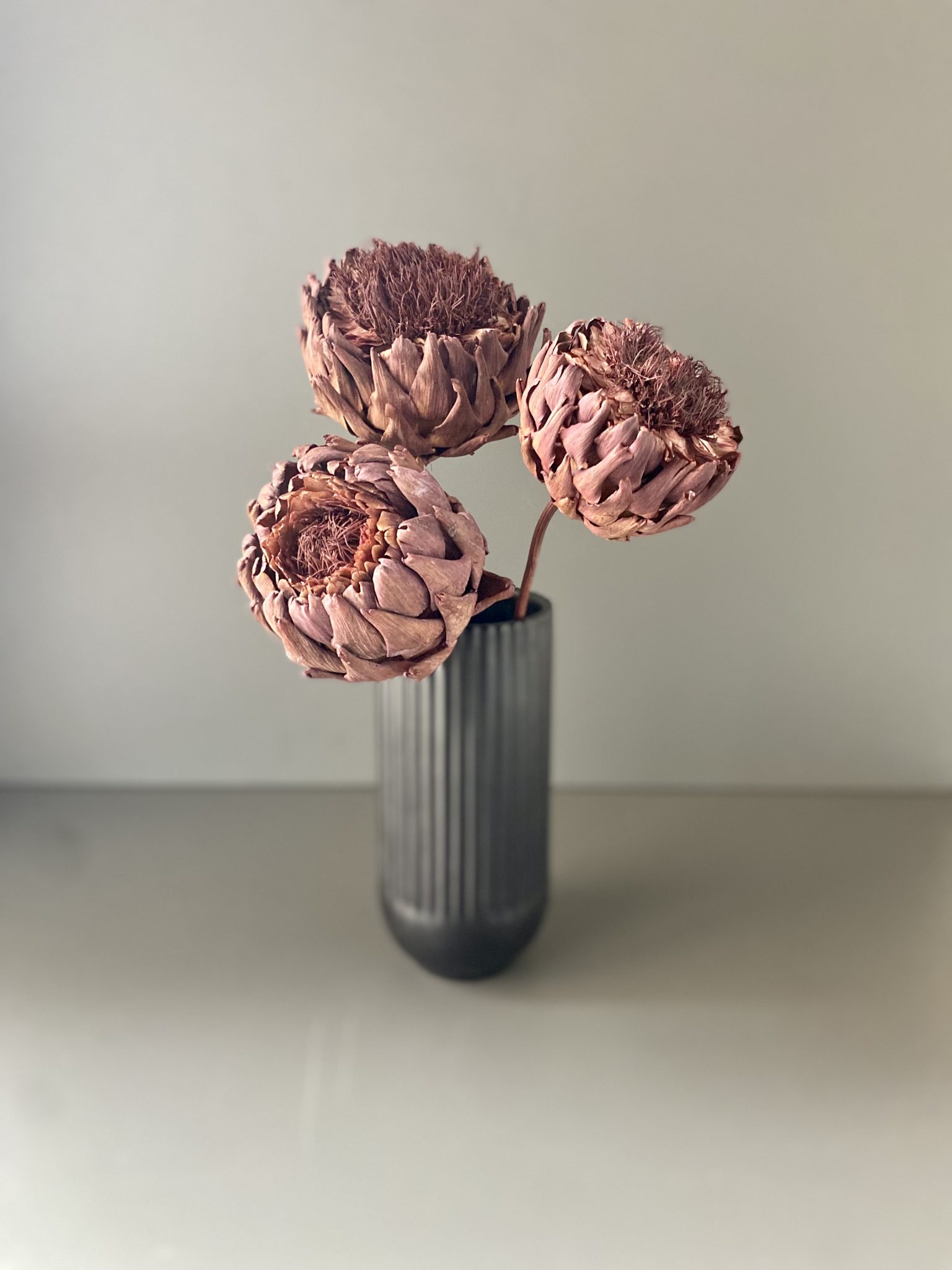 Artischocken getrocknet - Cynara, berry, Blüte