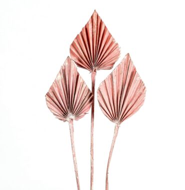 Palmspeer getrocknet, rose-frostet, 10 Stiele