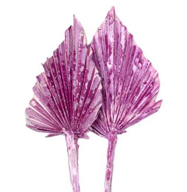 Palmspeer getrocknet, pink-frostet, 10 Stiele