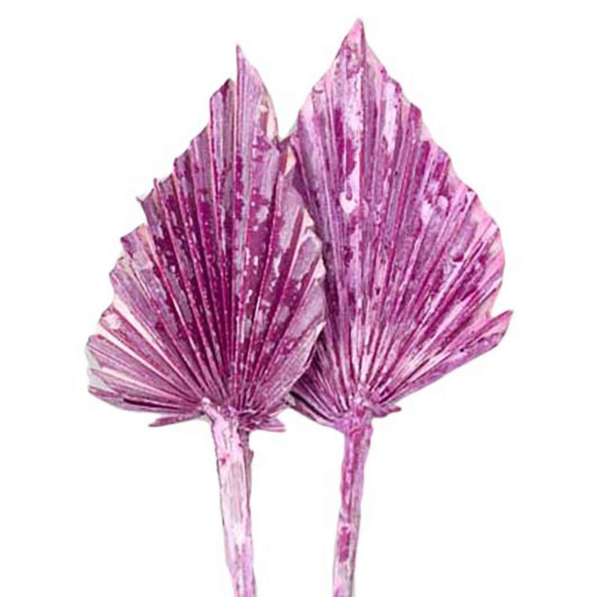 Palmspeer getrocknet, pink-frostet, 10 Stiele