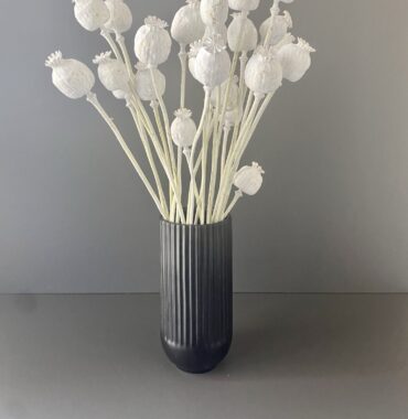 Getrocknete Mohnkapseln, weiß, Naturdekoration