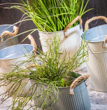 Zinc flower pot set, plant pot, grooved zinc pot with jute handles