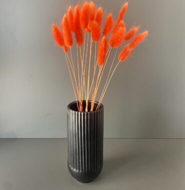 Dried orange Lagurus - Bunny Tails - Preserved velvety soft grasses for natural decoration