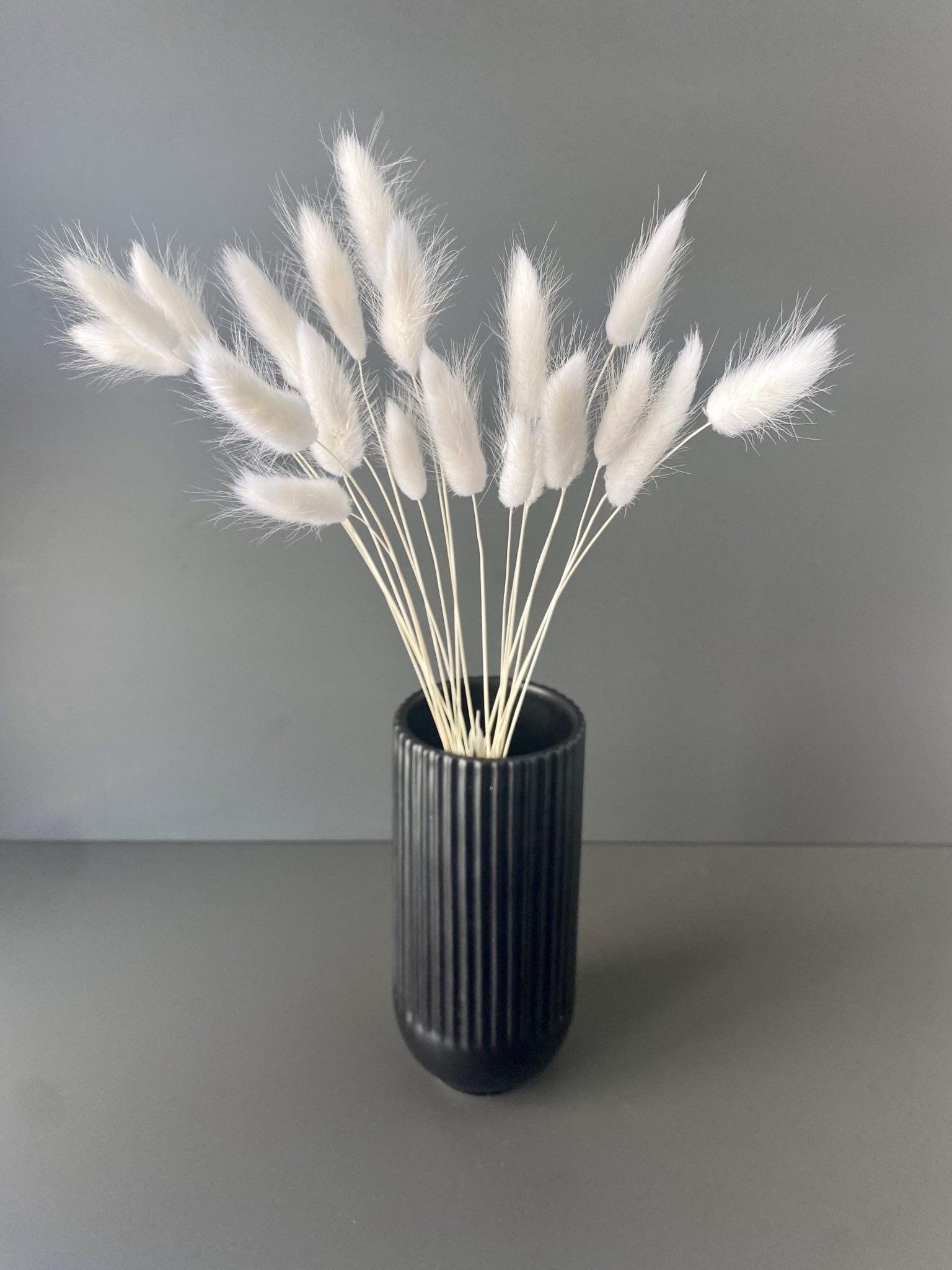 Lagurus getrocknet weiß – Trockenblumen – Bunny Tails – Konservierte samtig weiche Gräser für natürliche Dekoration – Bild 2