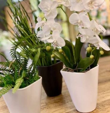 Orchideentopf-Rhodos, Pflanztopf in verschiedene Farben, Keramik Übertopf