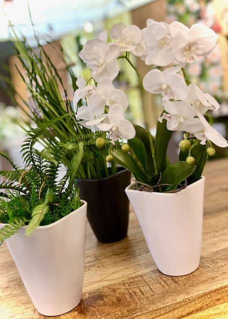 Orchideentopf-Rhodos, Pflanztopf in verschiedene Farben, Keramik Übertopf