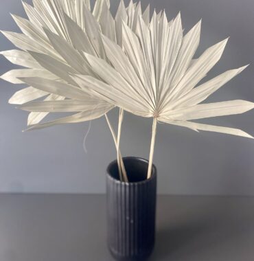 Große getrocknete Palmblätter, Palmwedel Natur, exotische dekoration, 3 Stiele