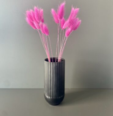 Lagurus dried pink - Dried flowers - Bunny Tails - Preserved velvety soft grasses for natural decoration