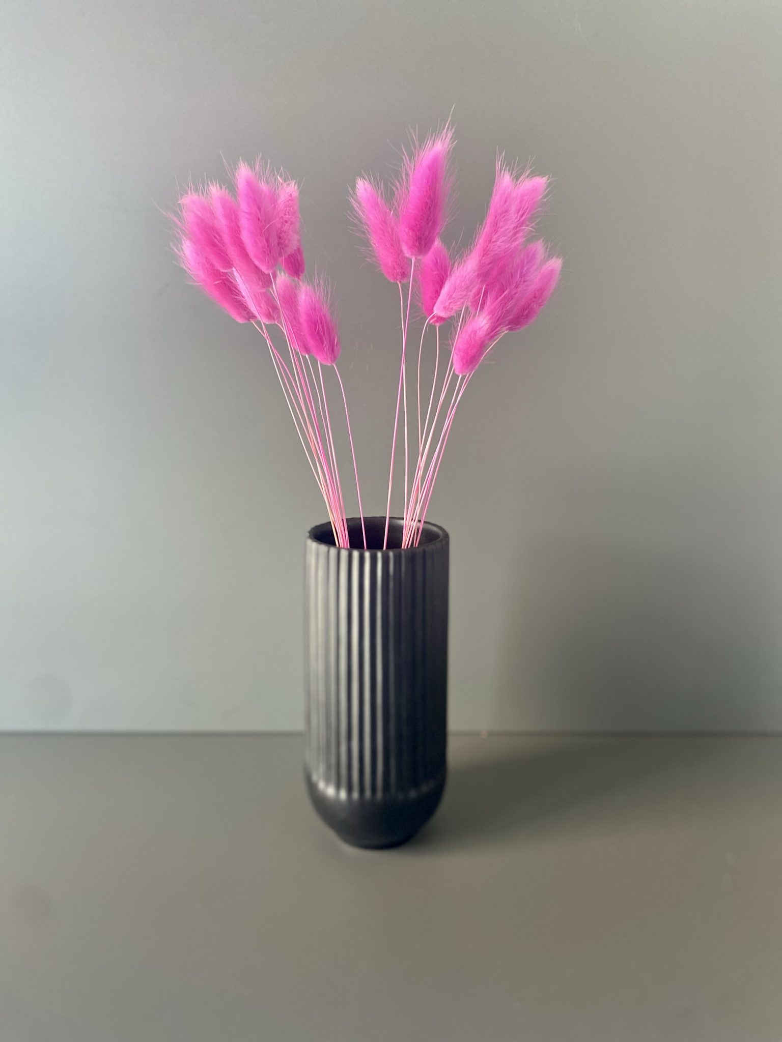 Lagurus getrocknet pink – Trockenblumen – Bunny Tails – Konservierte samtig weiche Gräser für natürliche Dekoration