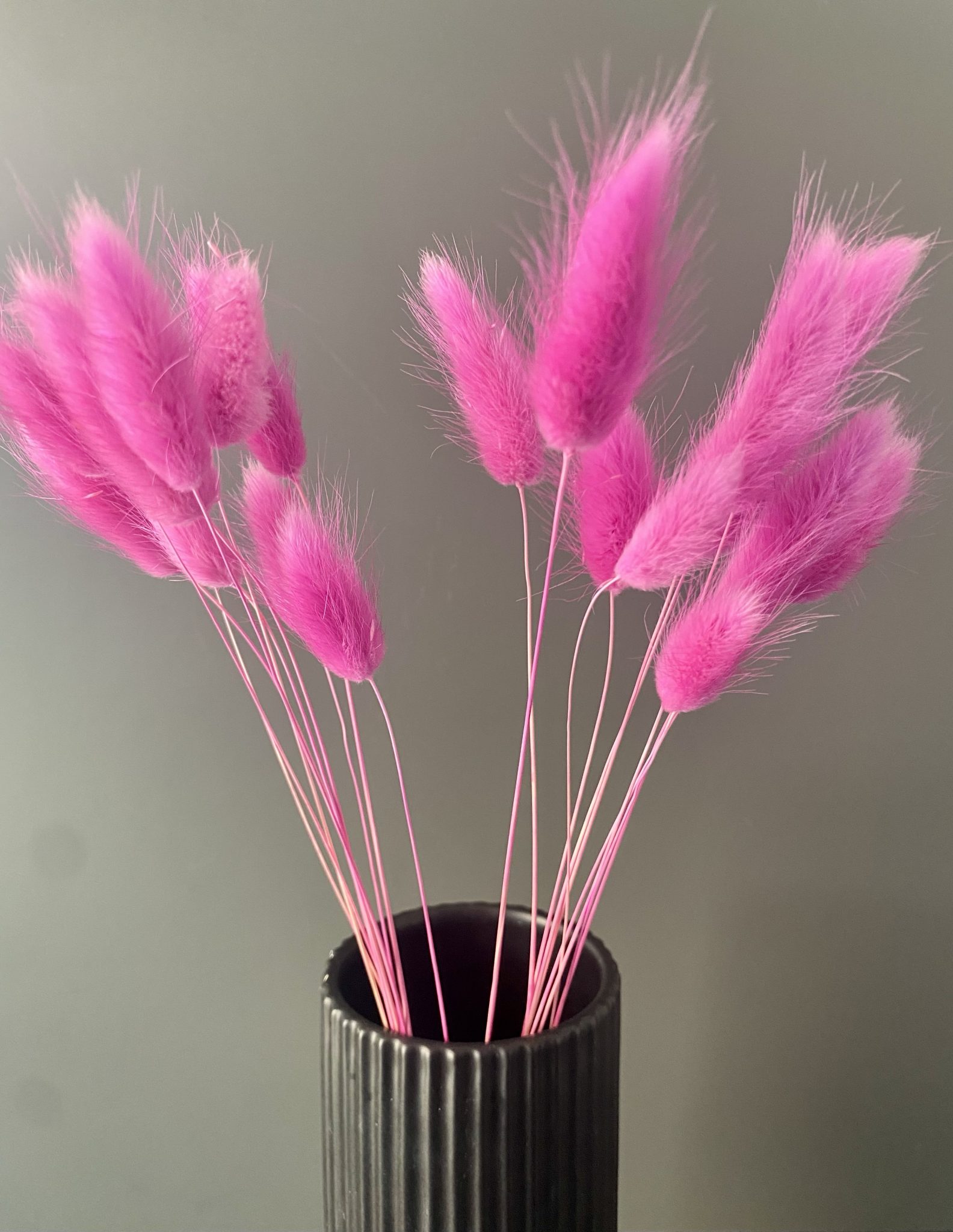 Lagurus getrocknet pink – Trockenblumen – Bunny Tails – Konservierte samtig weiche Gräser für natürliche Dekoration – Bild 2