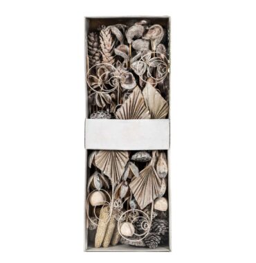 Exoten Sortiment getrocknet, white washed, 125 Stück