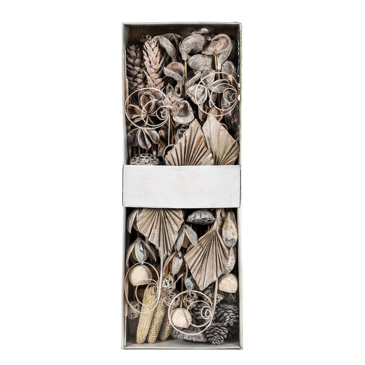 Exoten Sortiment getrocknet, white washed, 125 Stück