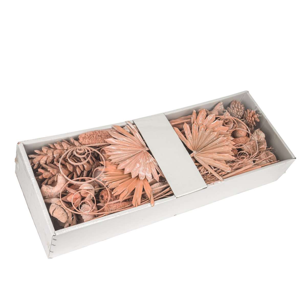 Exoten Sortiment getrocknet, orange white washed, 125 Stück