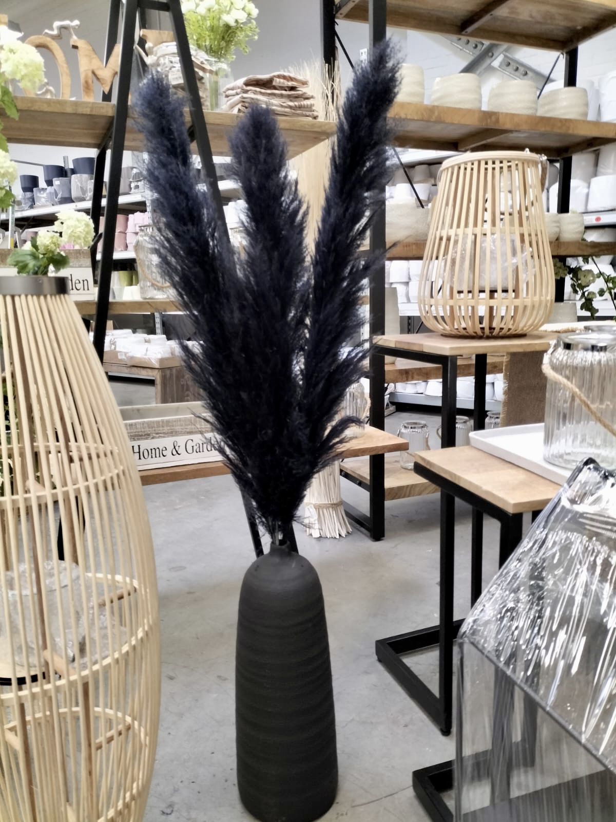 Dried pampas grass black, 3 stems dried extra fluffy, long tufts 100 cm - Image 3