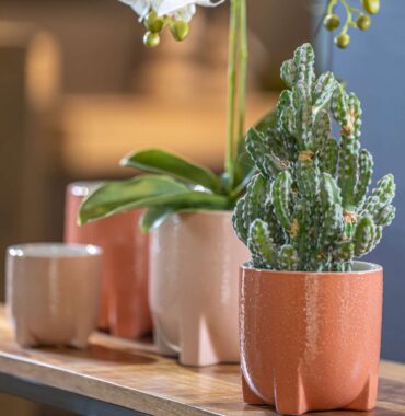 Blumentopf taupe & apricot Übertopf-Keramik glasiert Moderner Pflanztopf