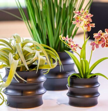 Blumentopf-Jutta, schwarz-matt Keramik Zylindertopf gewellt