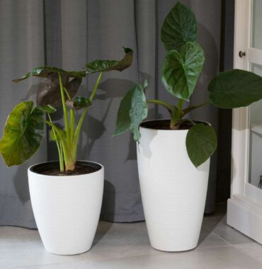 Kunststoff Blumentopf schwarz/weiß modernes Design mit gerilltem Muster - ideal zum bepflanzen von Pflanzen