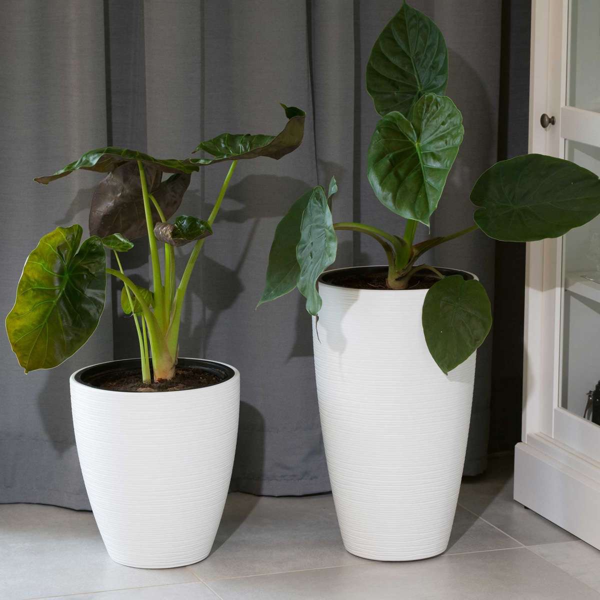 Kunststoff Blumentopf schwarz/weiß modernes Design mit gerilltem Muster - ideal zum bepflanzen von Pflanzen