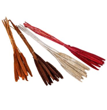 Schilfkolben Babala getrocknet in verschiedenen Farben - Trockenblumen, 10 Stück, Höhe ca. 60 cm