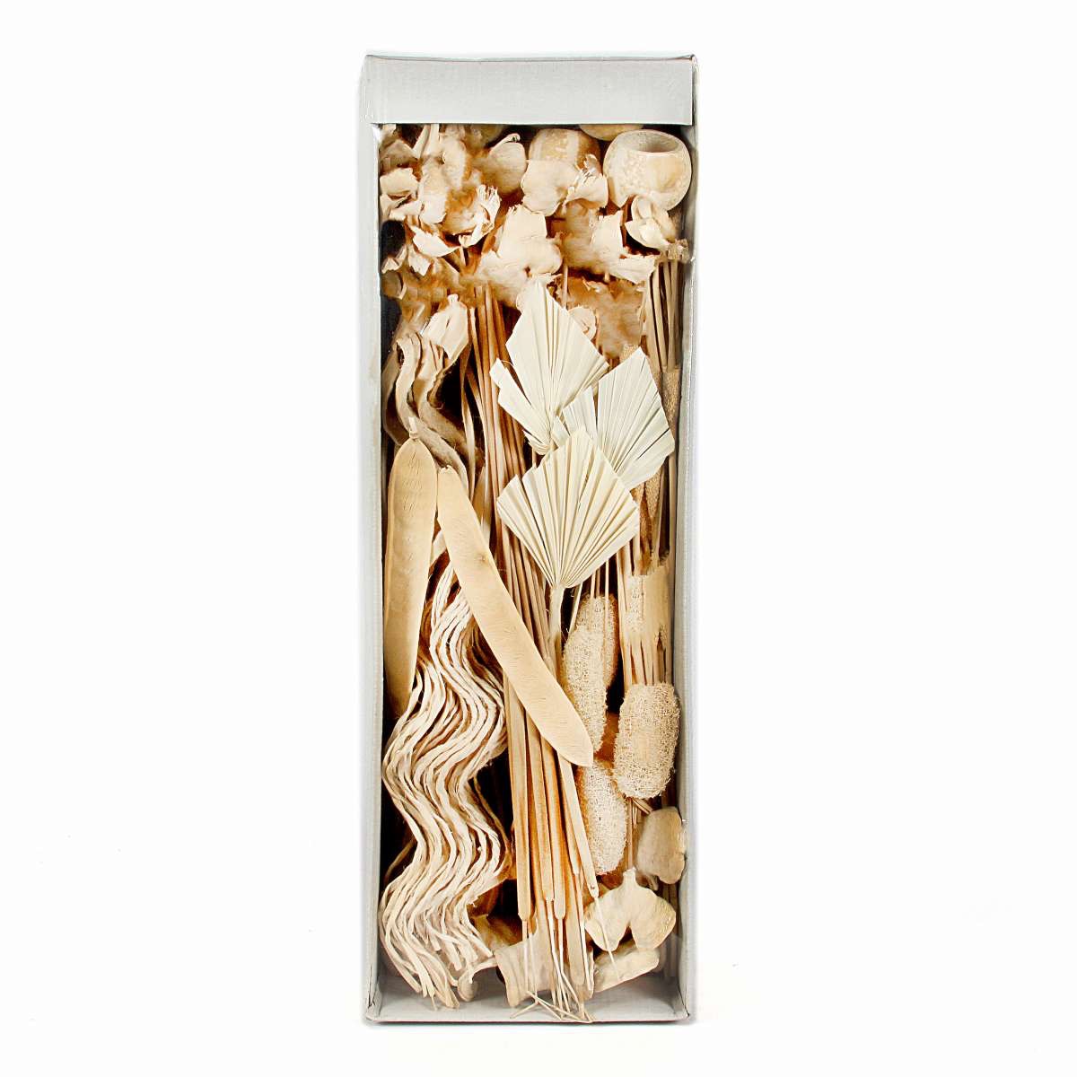 Exoten Sortiment getrocknet, gebleicht, 125 Stück