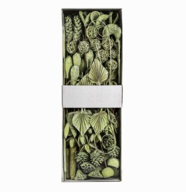 Exoten Sortiment getrocknet, hellgrün-white washed 125 Stück