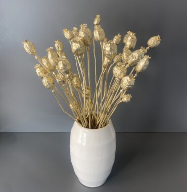 Mohnkapseln getrocknet Gold - 10 Stück - Trockenblumen für einen stilvollen Trockenblumenstrauß als Deko