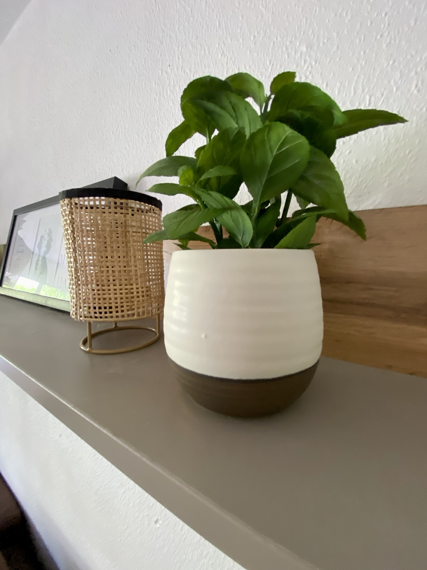 Blumentopf weiß-matt glasiert in 4 Größen - Runder Übertopf zum stilvollen Bepflanzen – Bild 2