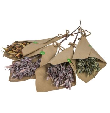 Bakuli Pine - Trockenblumenstrauß - Naturdeko - Geschenkset - 3 Stück - verschiedene Farben - 60cm