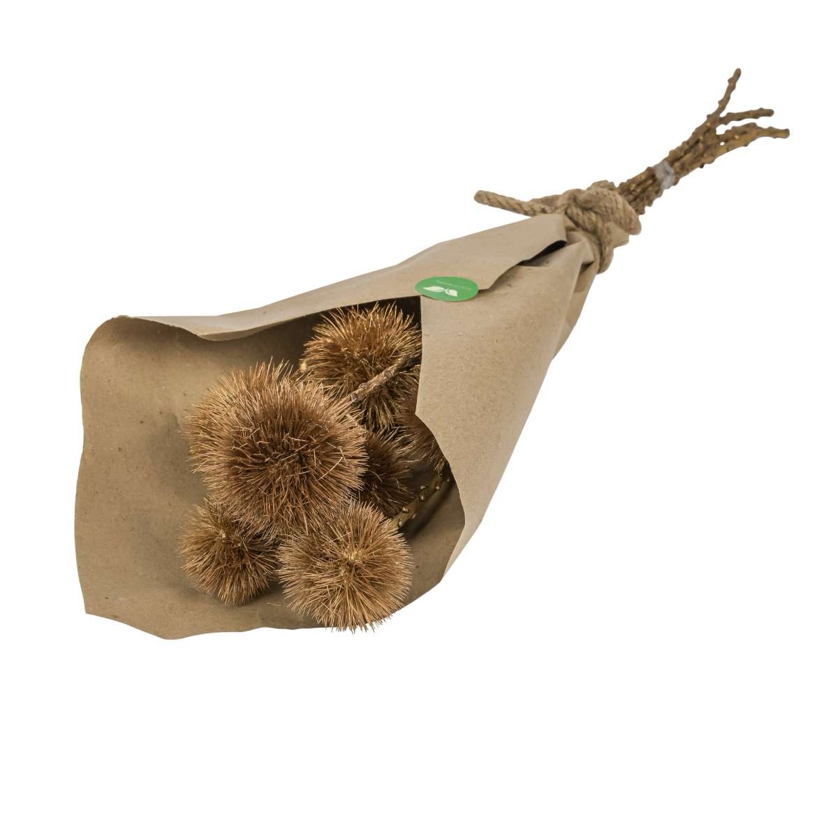 Getrocknete Kugeldisteln Gold - Echinops - Trockenblumen Deko - Naturdeko-Ideen - Weihnachtsdeko - 5 Stück