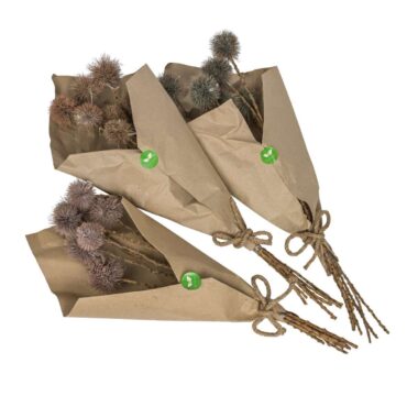 Getrocknete Kugeldisteln - Echinops - Trockenblumen Deko - Naturdeko-Ideen - Herbstdeko - 5 Stück - Verschiedene Farben