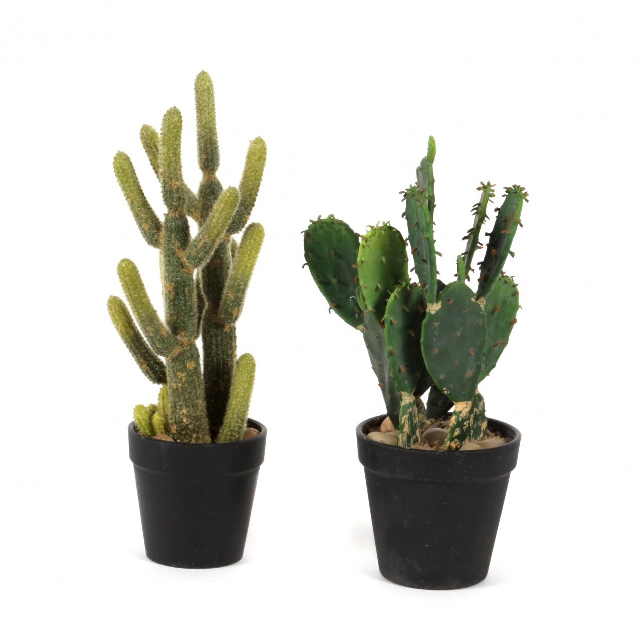 Artificial cactus - succulent - desert plant - artificial plant - houseplant - H 33 cm