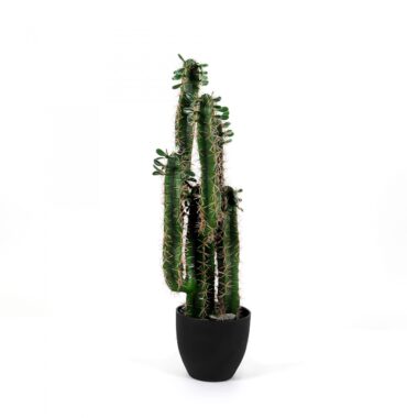 Artificial cactus Euphorbia in a pot - succulents - artificial plant 75 cm