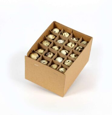 Quail eggs - 60 pieces - Easter eggs nature - Easter decoration